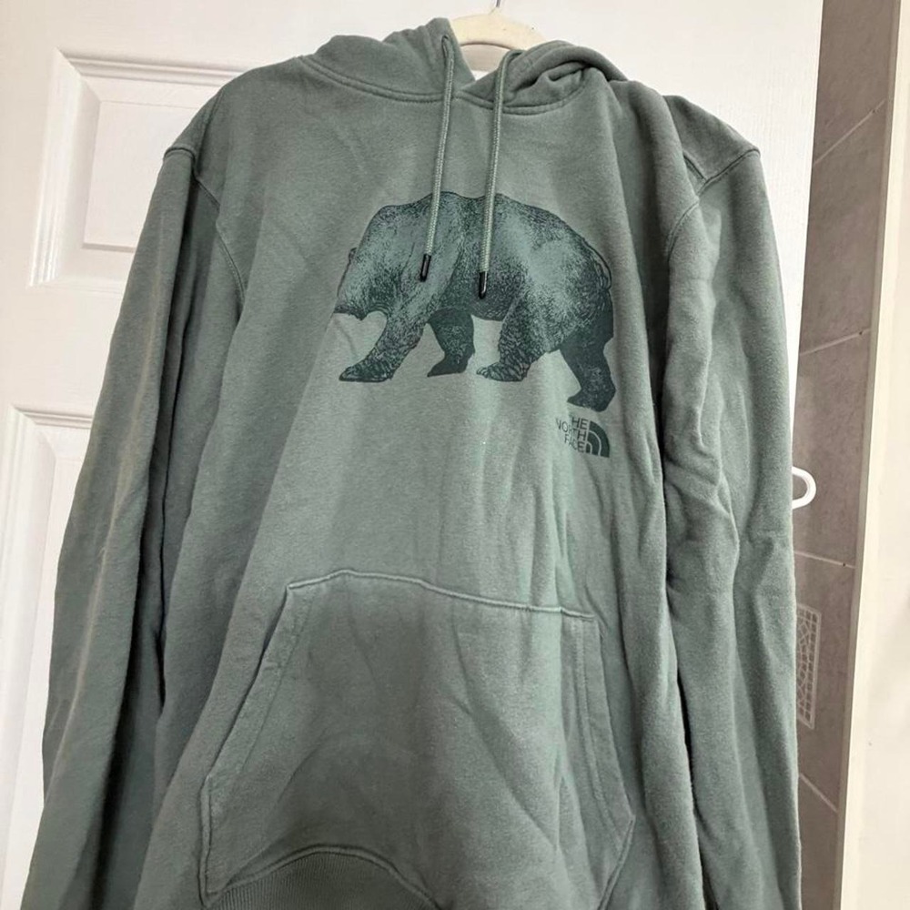 The North Face Mens Green Bear Graphic Hoodie Sweatshirt Size L
